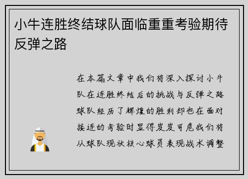 小牛连胜终结球队面临重重考验期待反弹之路