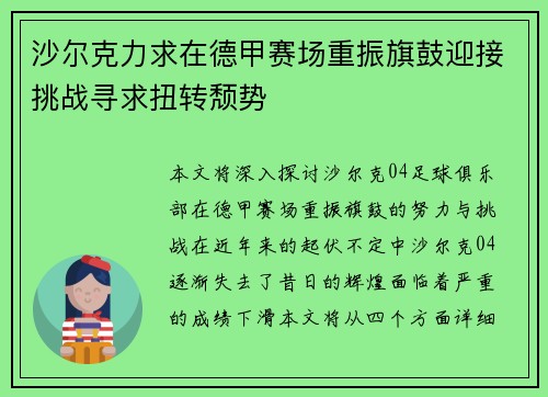 沙尔克力求在德甲赛场重振旗鼓迎接挑战寻求扭转颓势