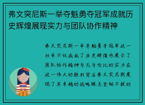 弗文突尼斯一举夺魁勇夺冠军成就历史辉煌展现实力与团队协作精神